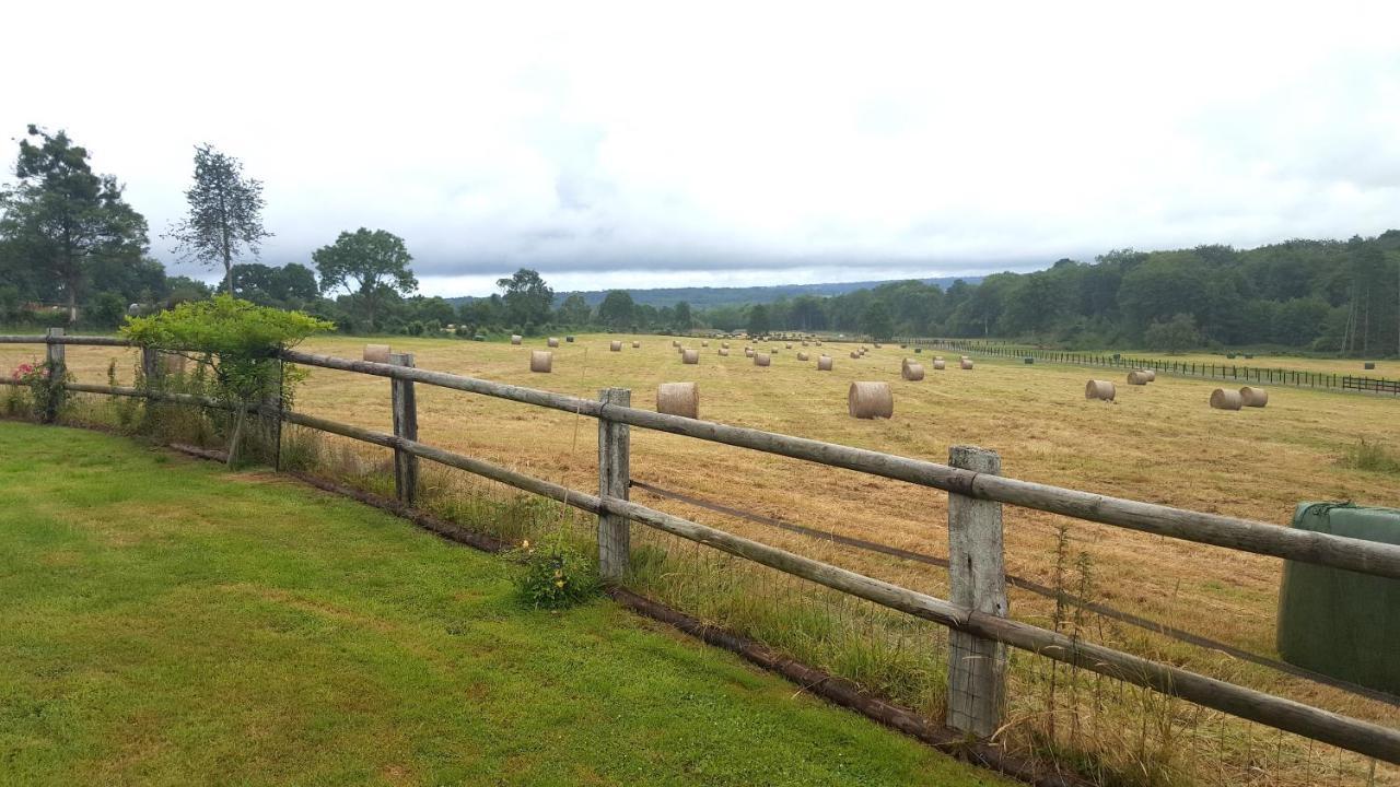 L'Herbe Aux Vaches Saint-Pierre-Azif Exteriör bild